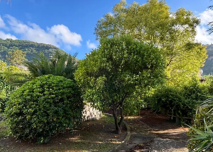 Casa Sa'lena - Daire Sorrento