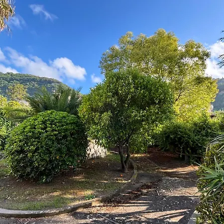 Casa Sa'lena - Apartment Sorrento